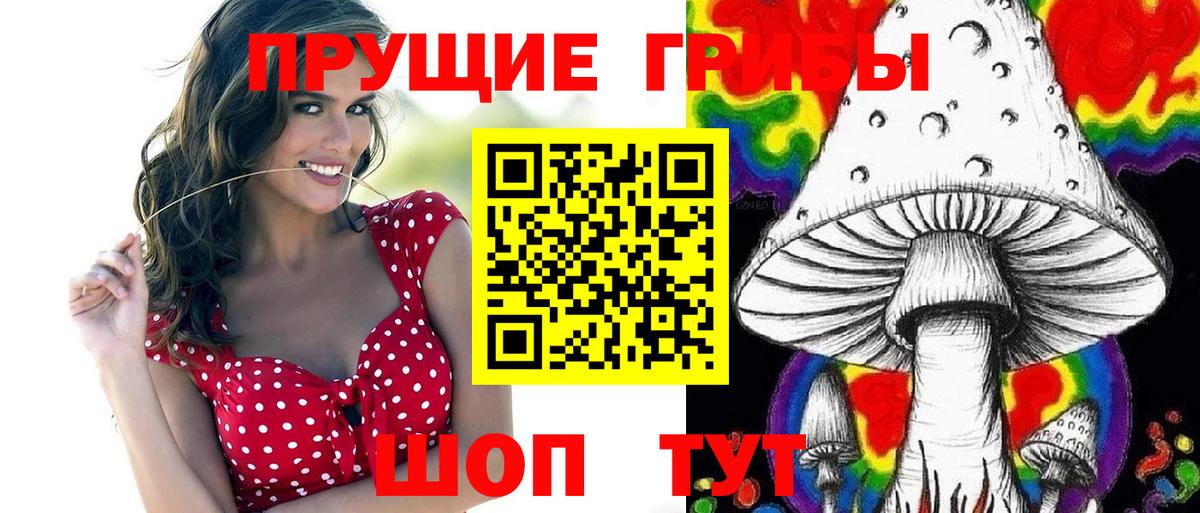 Галлюциногенные грибы мицелий  Вход с VPN  Великий Новгород  Псилоцибиновые грибы GOLDEN TEACHER 