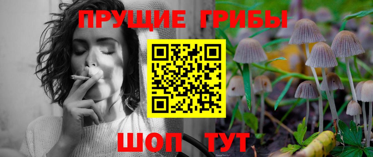 МЕТАДОН Великий Новгород