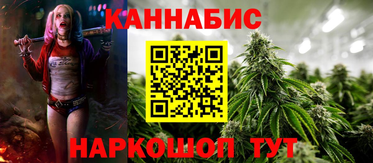 Великий Новгород  Бошки Шишки сатива  Вход с VPN  Бошки марихуана семена  Марихуана план 